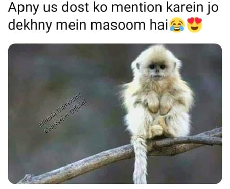 Masom frd ko mention kry?