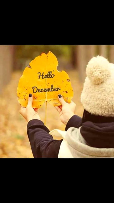 Hlo December 🥳