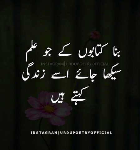 Exactly 👌🏻👍🏻