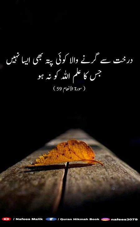 Nnjgvbju jhfcbh hgvbj