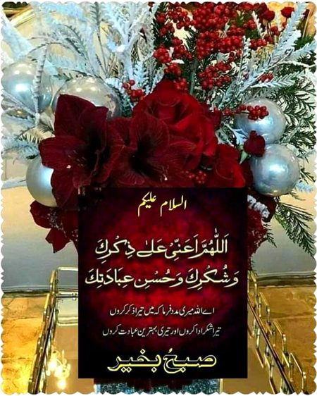 💐🌹🌹🌹🌺🌷🌼🌻🤗😇🤓