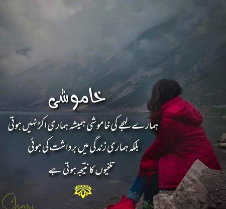 💕💕💕💖💖💖💖💕💕💕💕