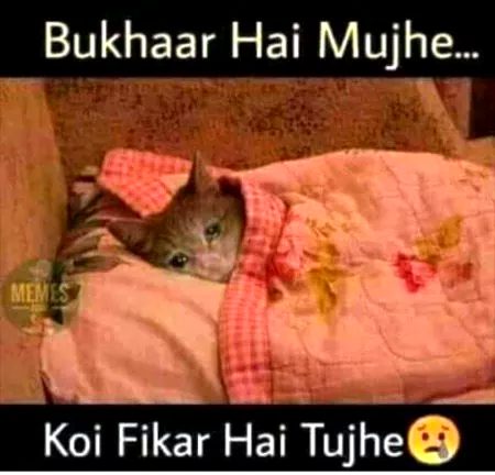 Hai fkr kse ko mjy Bukhara hei 😟