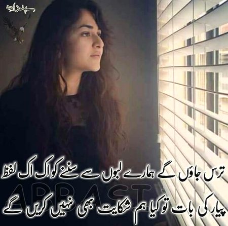 KOIE😭HY😭G😭😭