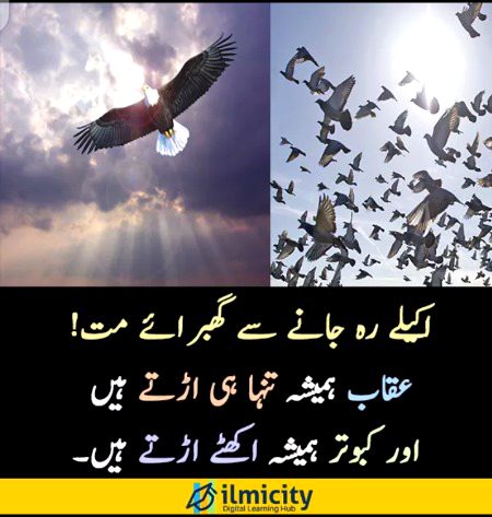 Hm to shaheen hn wasy bi😍