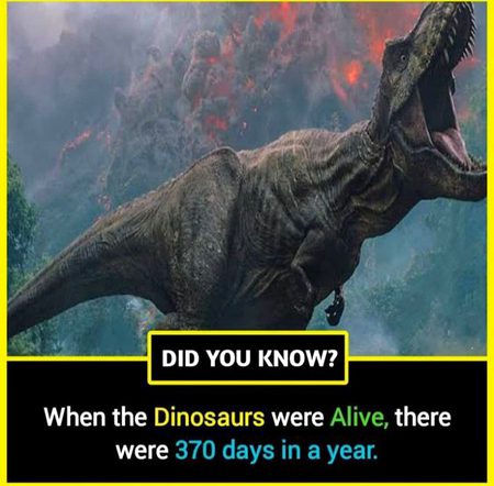Did you Know