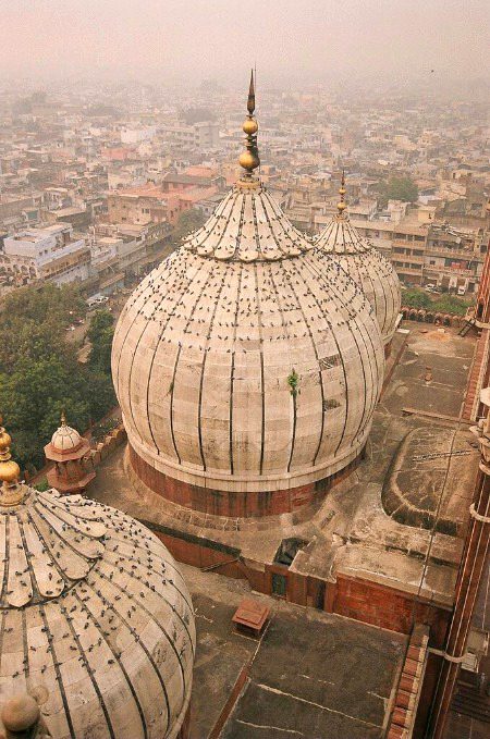 Beautiful Structures image