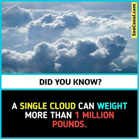 Did you Know