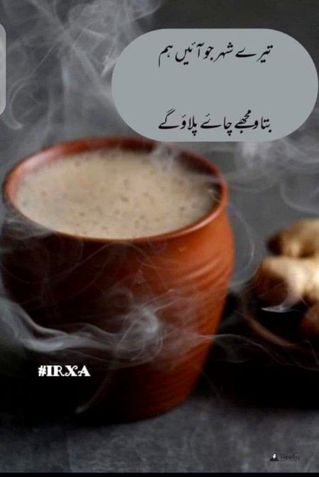 بولو یہ سب کرو گے کیا