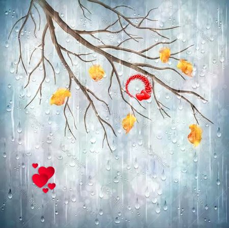 I liked this beauty of flower