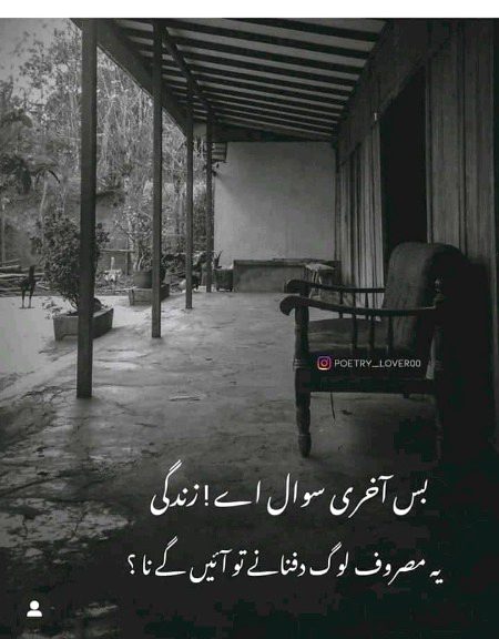 Dafnany to ayn gay naa??