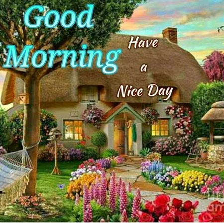 Happy Sunday❤
