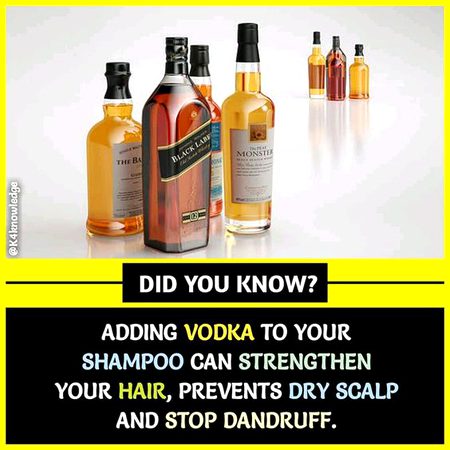 Did you Know