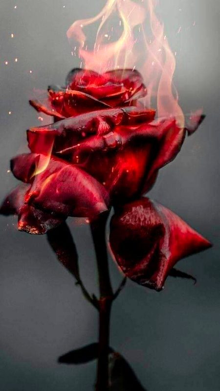 باہر  سے  تو  رونق  ہے وہی آج بھی لیکن ..
اس عشق نے اندر سے جلایا ہے بہت کچھ..