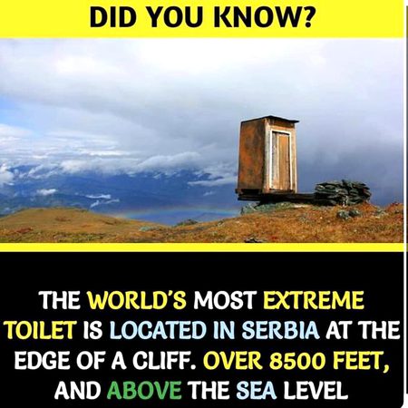 Did you Know