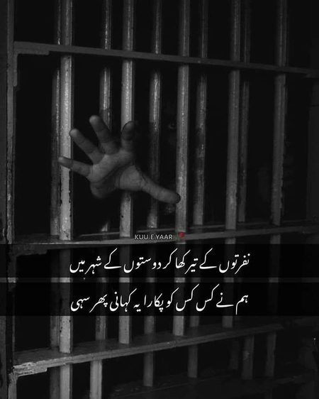 🖤Syed Zada🔥