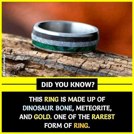 Did you Know