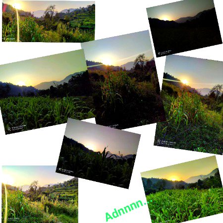 Sunset View🌄…………😊❤️
