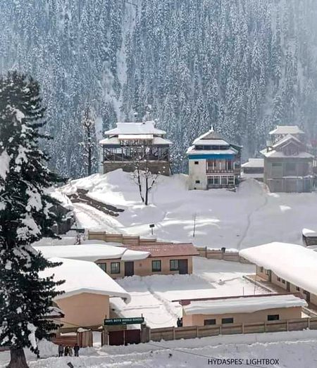 Beautiful Nature image