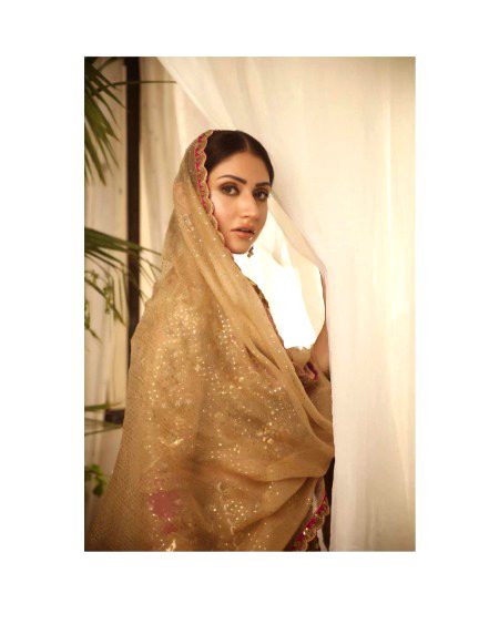 Pakistani Celebs image