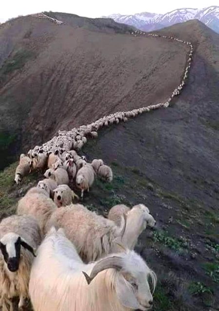 Beautiful Nature image