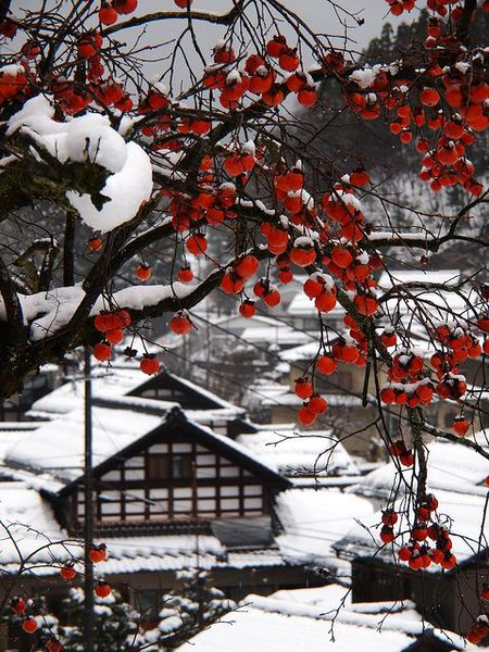 Amazing Place