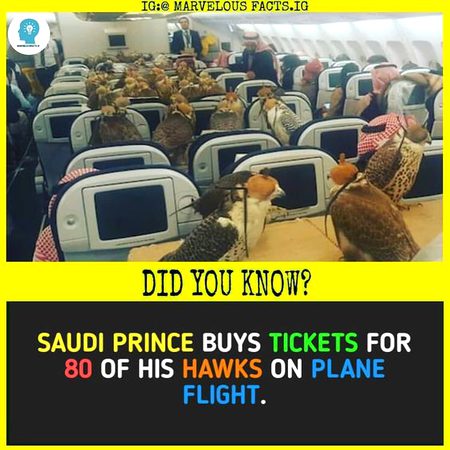 Did you Know