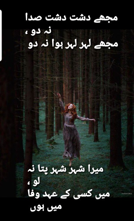 راشد فضلی ۔