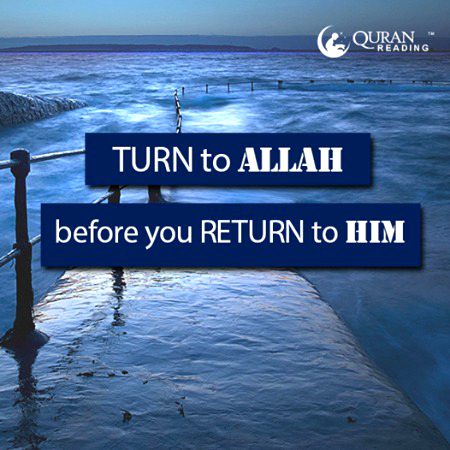 •°•°🥀Turn to ALLAH before you return to dust__🥀•°•°
