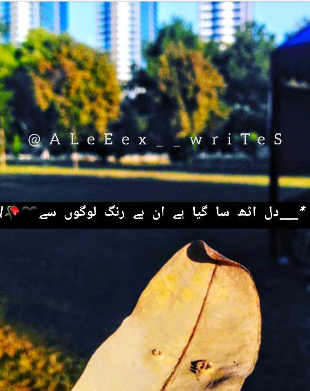 *_دل اٹھ سا گیا ہے ان بے رنگ لوگوں سے🔥💔🥀🖤_*