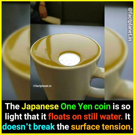 Did you Know