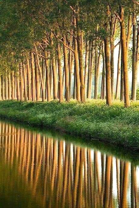 Nature photography..😍