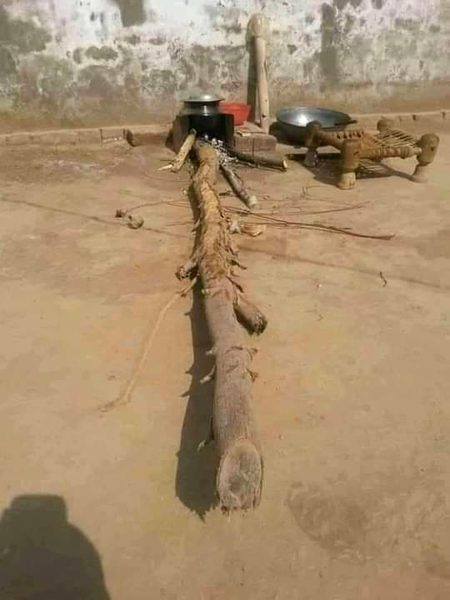 بتائیں ہاں ذرا کہ کیا پک رہا ہے