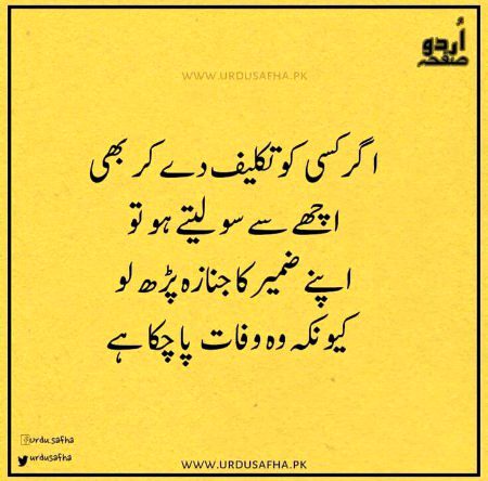 🌷🌷🌷اردو صفحہ🌷🌷🌷