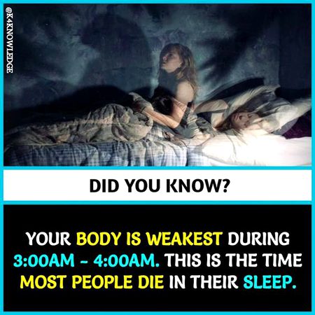 Did you Know