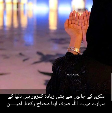 Islamic Quotes image