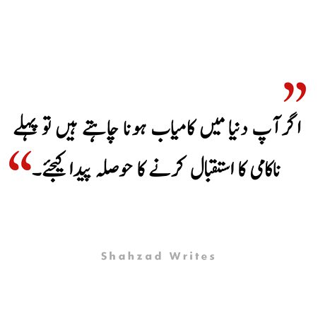 اگر آپ دنیا میں کامیاب ہونا چاہتے ہیں تو پہلے
ناکامی کا استقبال کرنے کا حوصلہ پیدا کیجئے۔
