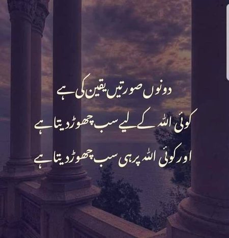 مجھے گرانے والے خود گر گۓ

جب تھاما مجھے میرے رب نے