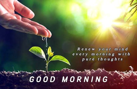 Have e a good day 💞