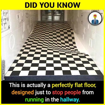 Did you Know
