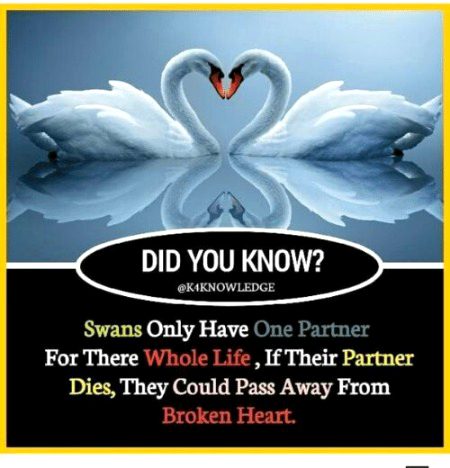 Interesting Posts image