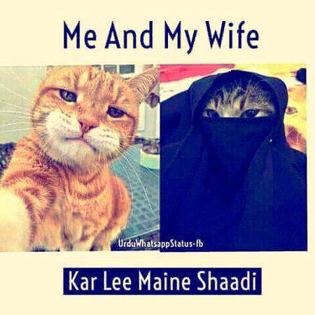 Tumhari yaad say to achi beli🐈
Jo pass Anay say pahly pochti Hai....MAAoo😉