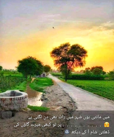 A.S.Malik 😎✌🤞