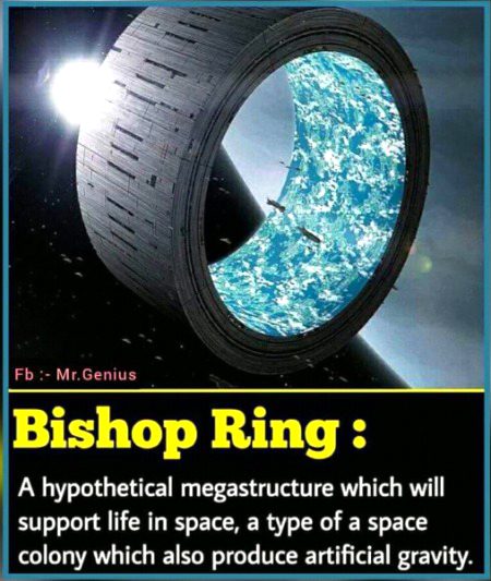 Bishop ring 🌐