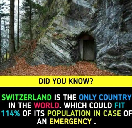 Did you Know