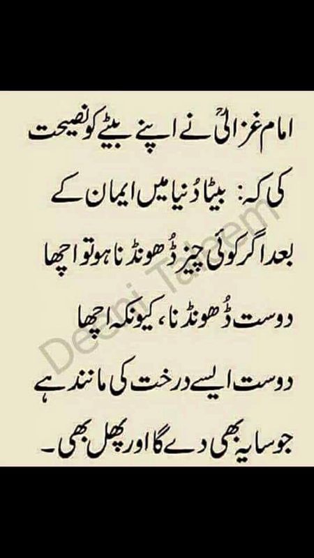 Right🌹🌹🌷🌷🥀🥀🌹🌹