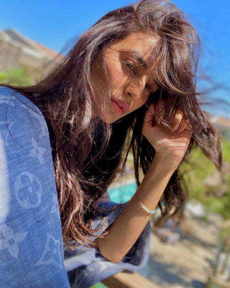 Pakistani Celebs image