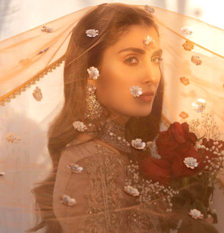 Pakistani Celebs image