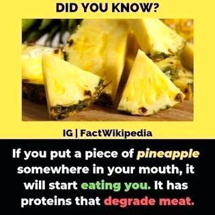 Did you Know