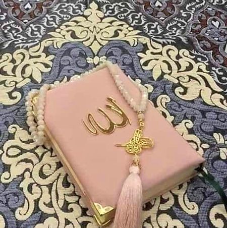 اگر تم کچھ سیکھنا چاہتے ہو تو انسانوں سے نہیں قرآن سے سیکھو•"❤️🦋